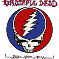 Steal Your Face
